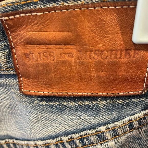 Bliss and Mischief Repurposed Embroidered Levi’s Jeans - Picture 8 of 16
